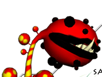 imagem layout 1
