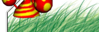 imagem layout 3