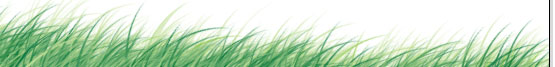 imagem layout 4