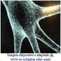 Neurônio