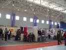 Grupos de usuarios
