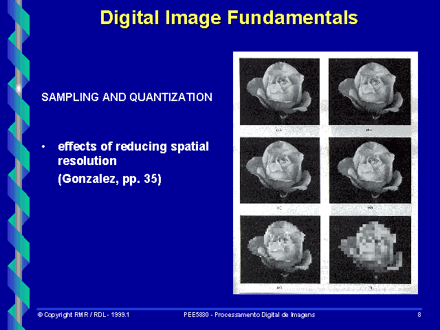 Digital Image Fundamentals